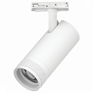 Светильник на штанге Lightstar Canno Pro C4206SS 500_191_3074969